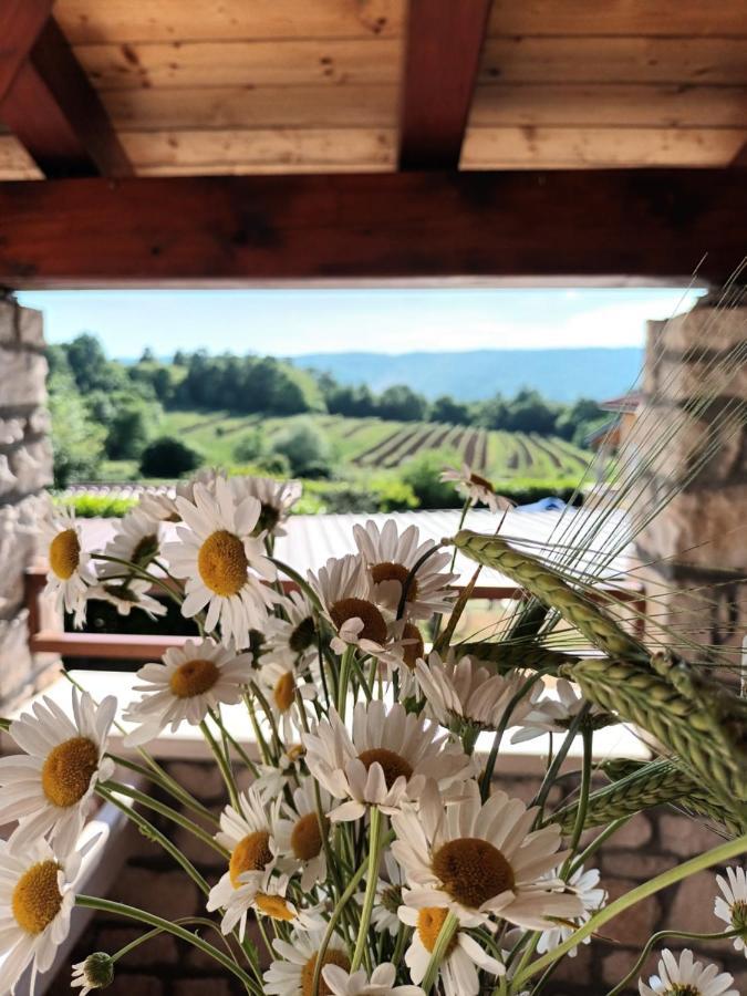 Guesthouse Marija Potpićan Kültér fotó